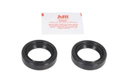 ARI.004