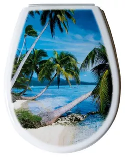 купить Сиденье для унитаза Bisk 80377 LILIA (foto Palmier) в Кишинёве 