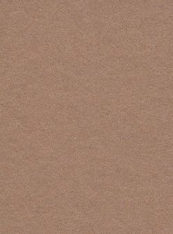 Фон Бумажный Creativity Graund 2,72 х 11,0 м  Hazelnut 111225