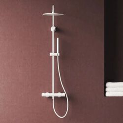 купить Душевая панель Ravak Spring termostatica white matt SG 091.10WHM (X070579) в Кишинёве 