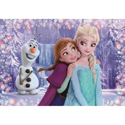 cumpără Puzzle Clementoni Puzzle 2x20 FROZEN (24825) în Chișinău 