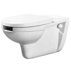 купить Унитаз Uniplast 68150 suspendat cu capac pentru persoane cu dizabilitati 60cm EGE VITRIFIYE в Кишинёве 
