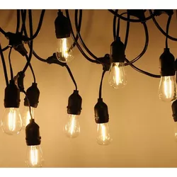 cumpără Iluminat decorativ miscellaneous S221-1 5м 10 ламп în Chișinău 