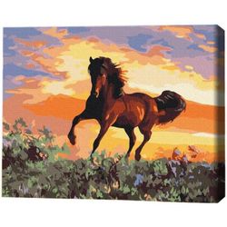 cumpără Tablou pe numere BrushMe RBS6943FC 30x40 сm (fără cutie) Cal în Chișinău 