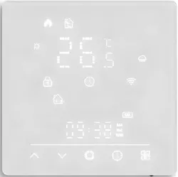 cumpără Termostat de cameră Moes MWHT-S02-GB-WH-MS în Chișinău 