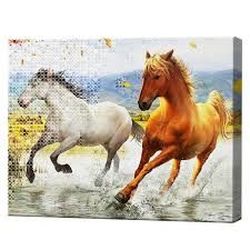 Алмазная мозаика + роспись по номерам 40x50 см Бегущие лошади YHDGJ75161