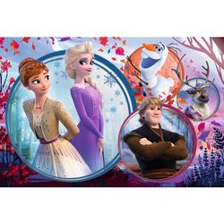 купить Головоломка Trefl 15374 Puzzle 160 Sister Adventure Frozen 2 в Кишинёве 