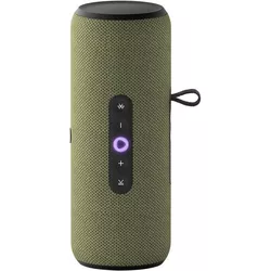 купить Колонка портативная Bluetooth Yandex YNDX-00030GRN Alisa Station Street Green в Кишинёве 