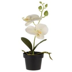 купить Декор Holland 48363 NVT Цветок искусственный Орхидея 25cm в горшке в Кишинёве 