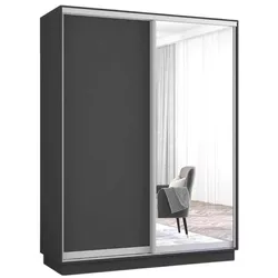 купить Шкаф Mobildor-Lux Раздвижные двери Fox из зеркала и ДСП (160x60x210 см) Антрацит в Кишинёве 