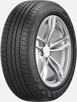 купить Шина Fortune 195/65 R15 91H FSR-802 LW в Кишинёве 