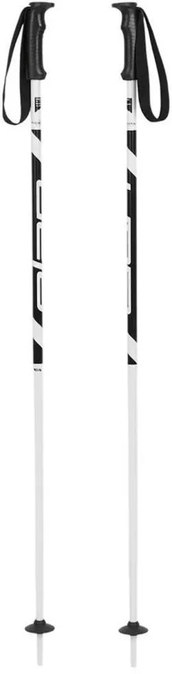 купить Лыжные палки Elan Hot Rod hite 120 (CD633625 120) в Кишинёве 