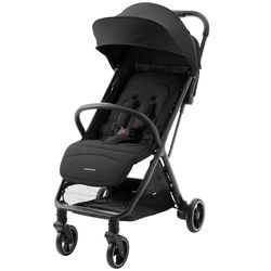 купить Детская коляска Kikka Boo 31001030198 Lauren Black в Кишинёве 