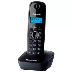 купить Телефон беспроводной Panasonic KX-TG1611UAH в Кишинёве 