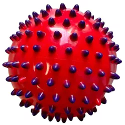 cumpără Dispozitiv de masaj mecanic miscellaneous 3884 Minge masaj 10 cm 124-63 în Chișinău 
