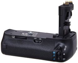 купить Аккумулятор для фото-видео Canon BG-E9 (2 x LP-E6 or 6 x Size-AA) в Кишинёве