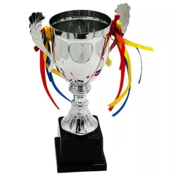 купить Кубок наградной miscellaneous 209 metal 35 cm SILVER 243-1232 в Кишинёве 