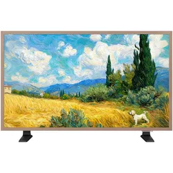 купить Телевизор TCL 32A400 PRO в Кишинёве 
