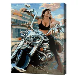 купить Картина по номерам Art Gallery GX36882 40x50cm Motociclista в Кишинёве 