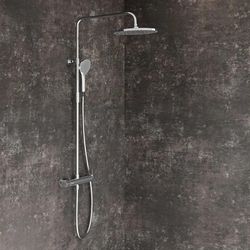 купить Душевая панель Ravak DS chrome DS 091.00 (X07P643) в Кишинёве 