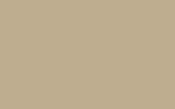 CARBON 8106 Sand