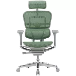 купить Офисное кресло ART Ergohuman Elite 2 Green T-168-B6 EHE2-AG-HAM-5D-L в Кишинёве 