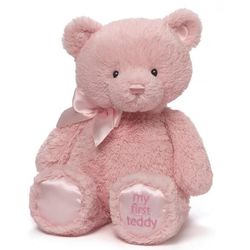 cumpără Jucărie de pluș Baby Gund 6048627 My 1st Teddy Pink 45cm în Chișinău 