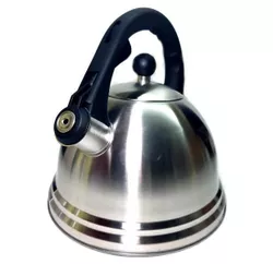 купить Чайник wiSmark S-015 3 л, нерж. в Кишинёве 