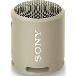 cumpără Boxă portativă Bluetooth Sony SRSXB13C în Chișinău 