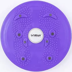купить Гантель LiveUp 41444 Magnetic Disc LS3165B/VT в Кишинёве 