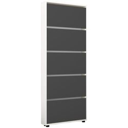 купить Полка для обуви Mobildor-Lux Leo Slim 80x16x203H cm White/Anthracite в Кишинёве 