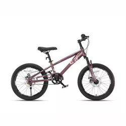 cumpără Bicicletă miscellaneous TN24Q22 18'' violet, 2222D în Chișinău 