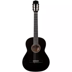 купить Гитара Fiesta Aria 4/4 FST-200 Black + husa в Кишинёве 