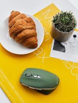 Wireless Mouse Canyon MW-21, Optical, 800-1600dpi, 7 buttons, Ergonomic, Blue LED, 1xAA, Green