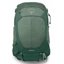cumpără Rucsac turistic Osprey Stratos 34 Pine Leaf Green (810165747470) în Chișinău 