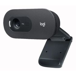 купить Веб-камера Logitech C505 HD в Кишинёве 