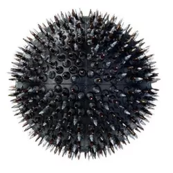 cumpără Minge Lyapko 4251 Minge cu ace d=55 mm 4.0 Ag în Chișinău 