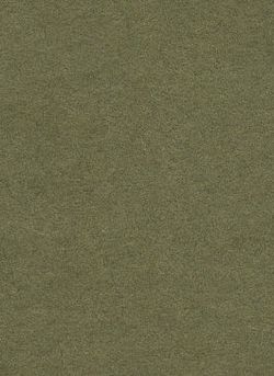 Фон Бумажный Creativity Graund 2,72 х 11,0 м Leaf 111210