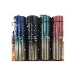 Sticla-termos cu indicarea temperaturii 500 ml 1912-1014 (4164)