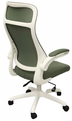 cumpără Fotoliu de birou Deco Luis Green în Chișinău 