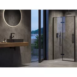 купить Перегородка для душевой кабины Ravak Shower door Cool! 100x195 Black transparent COSD2-100 (X0VVAC300Z1) в Кишинёве 