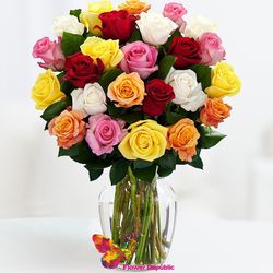 Букет из 25 разноцветных  роз