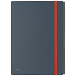 купить Папка для документов Leitz 46190089 Mapa din plastic cu elastic Cosy A4, gri в Кишинёве 