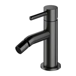 cumpără Baterie pentru bideu Omnires Baterie Y (Bideu) Brushed Graphite Y1220GR în Chișinău 