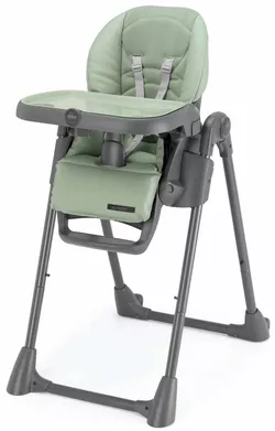купить Стульчик для кормления CAM S2250-C267 Pappananna Icon Air menta в Кишинёве 