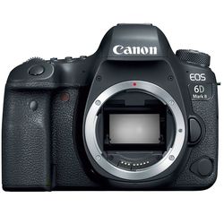 купить Фотоаппарат зеркальный Canon EOS 6D Mark II Body (1897C031) в Кишинёве 