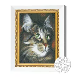 купить Картина по номерам Art Gallery JS27625 Mozaic cu diamante 20x30cm Motan cu ochi verzi в Кишинёве 