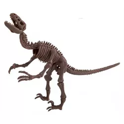 cumpără Set de creație 4M 00-13234 Velociraptor Skeleton în Chișinău 