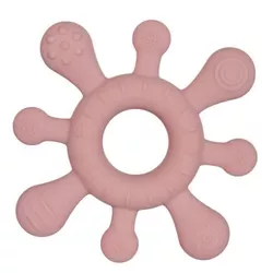 купить Игрушка-прорезыватель Canpol 80/307 МОРСКАЯ ЗВЕЗДА в Кишинёве 