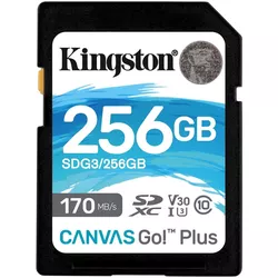 cumpără Card de memorie flash Kingston SDG3/256GB în Chișinău 